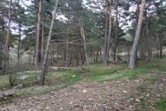 IMG-20180430-WA0010 (FILEminimizer)