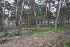 IMG-20180430-WA0045 (FILEminimizer)