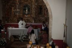 IMG_3364FILEminimizer