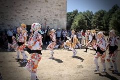 IMG_3391FILEminimizer